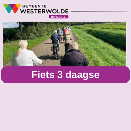 Fiets 3 daagse wesbiste